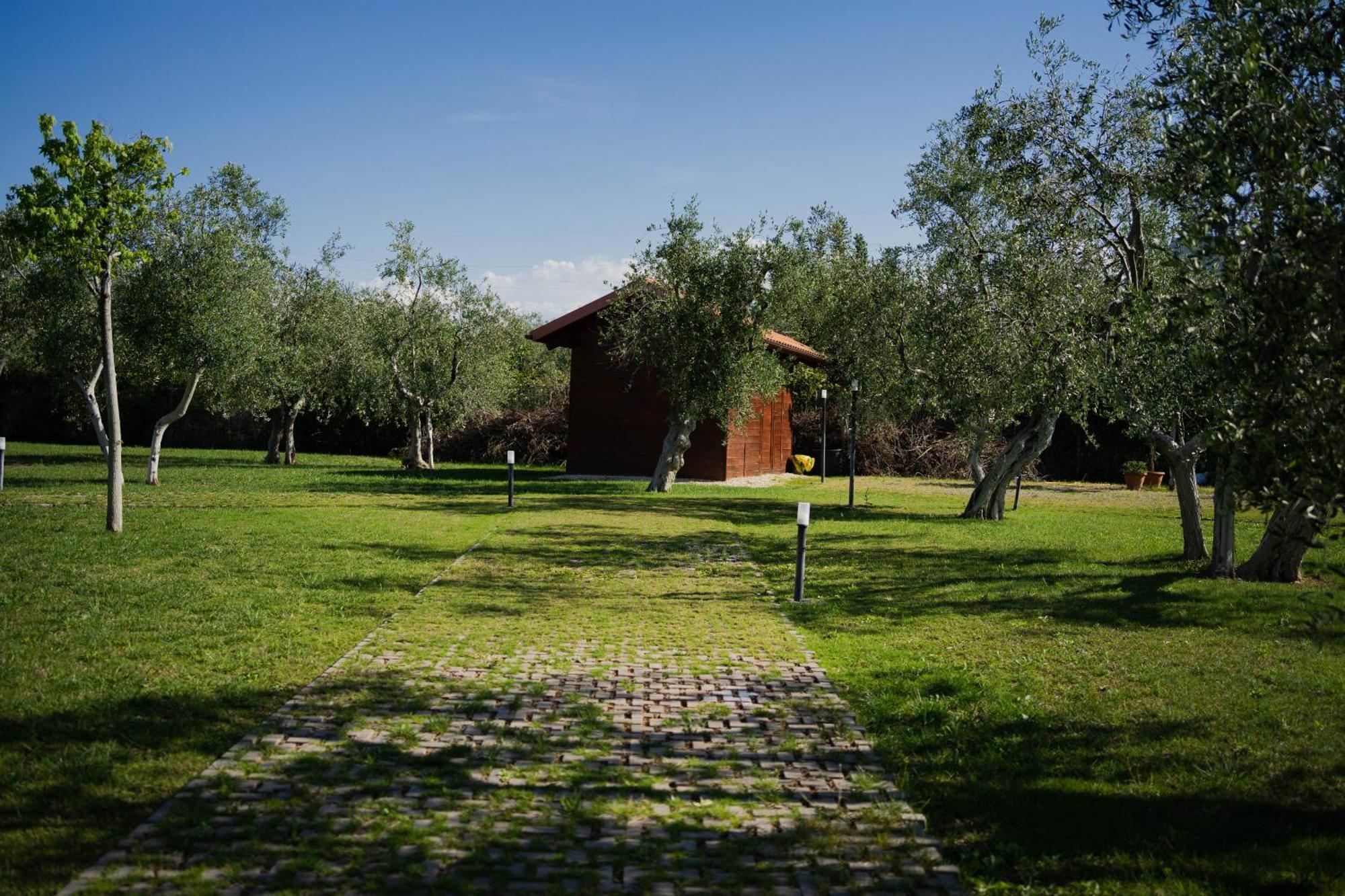 Villa Erada Bari Bagian luar foto